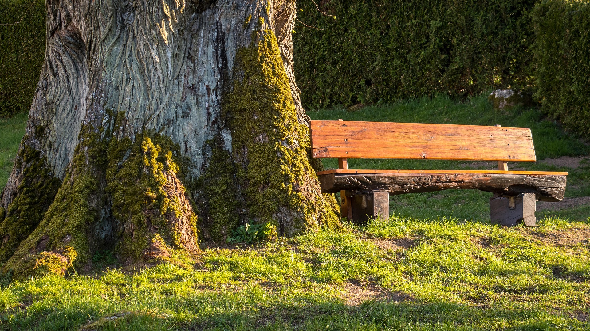 Die Kraft der Stille: Warum eine Pause mein Glück war
